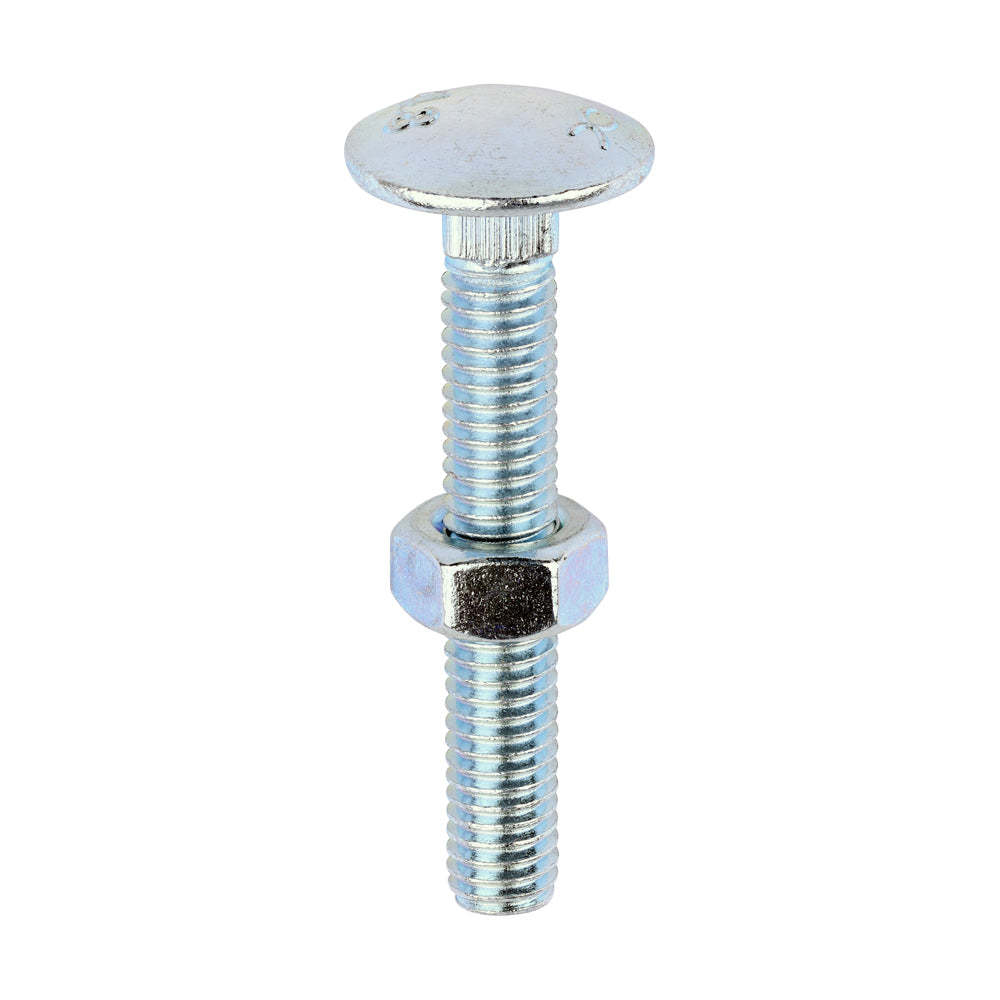 Carriage Bolts & Hex Nuts - Zinc - M6 x 40 - Box of 200