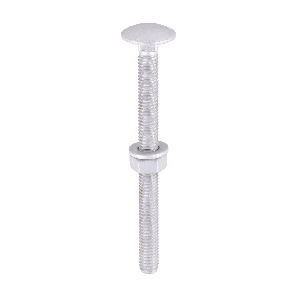 Carriage Bolts Hex Nuts & Form A Washers - Dome - Exterior - Silver - M6 x 75 - TIMbag of 10