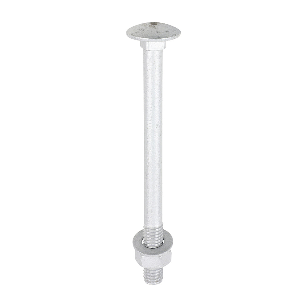 Carriage Bolts Hex Nuts & Form A Washers - Dome - Exterior - Silver - M8 x 100 - TIMbag of 10