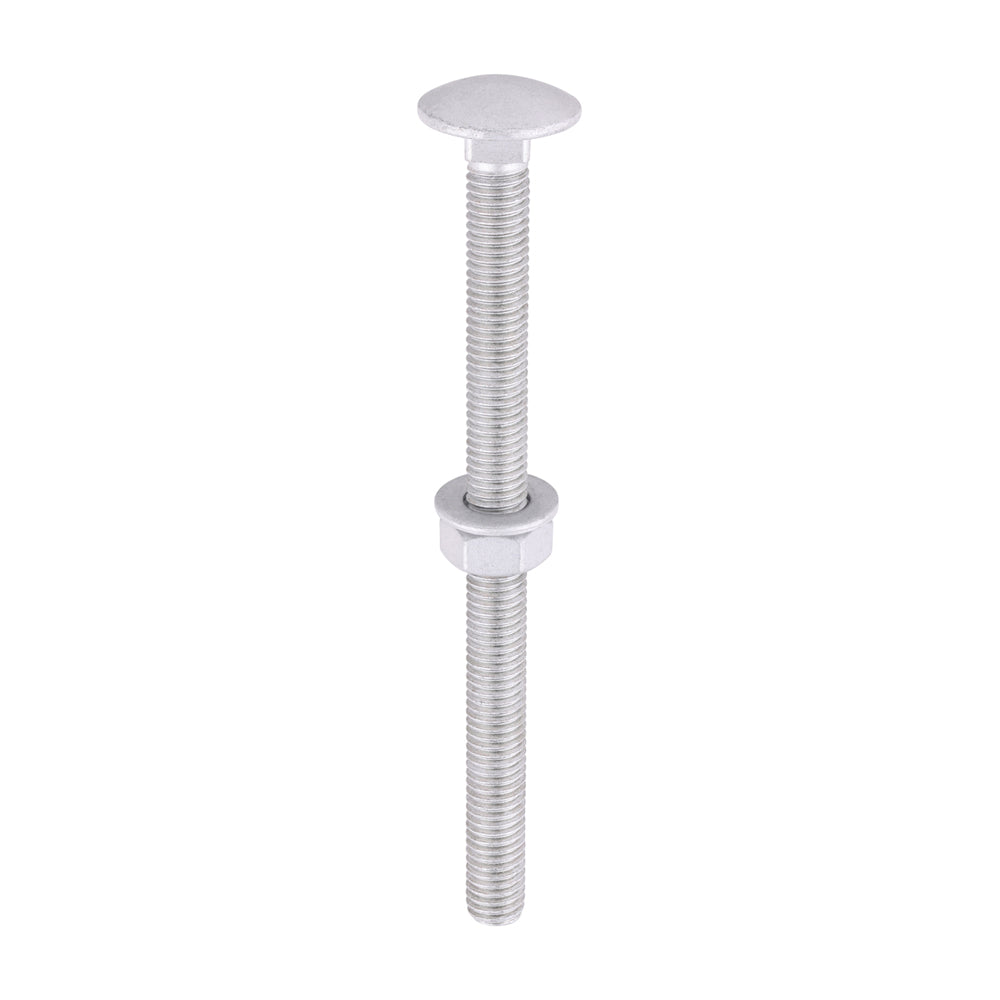 Carriage Bolts Hex Nuts & Form A Washers - Dome - Exterior - Silver - M8 x 110 - TIMbag of 10