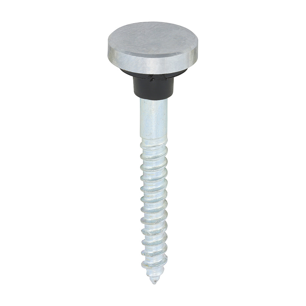 Mirror Screws - Zinc - Chrome Flat - 8 x 1 1/2 - TIMpac of 8