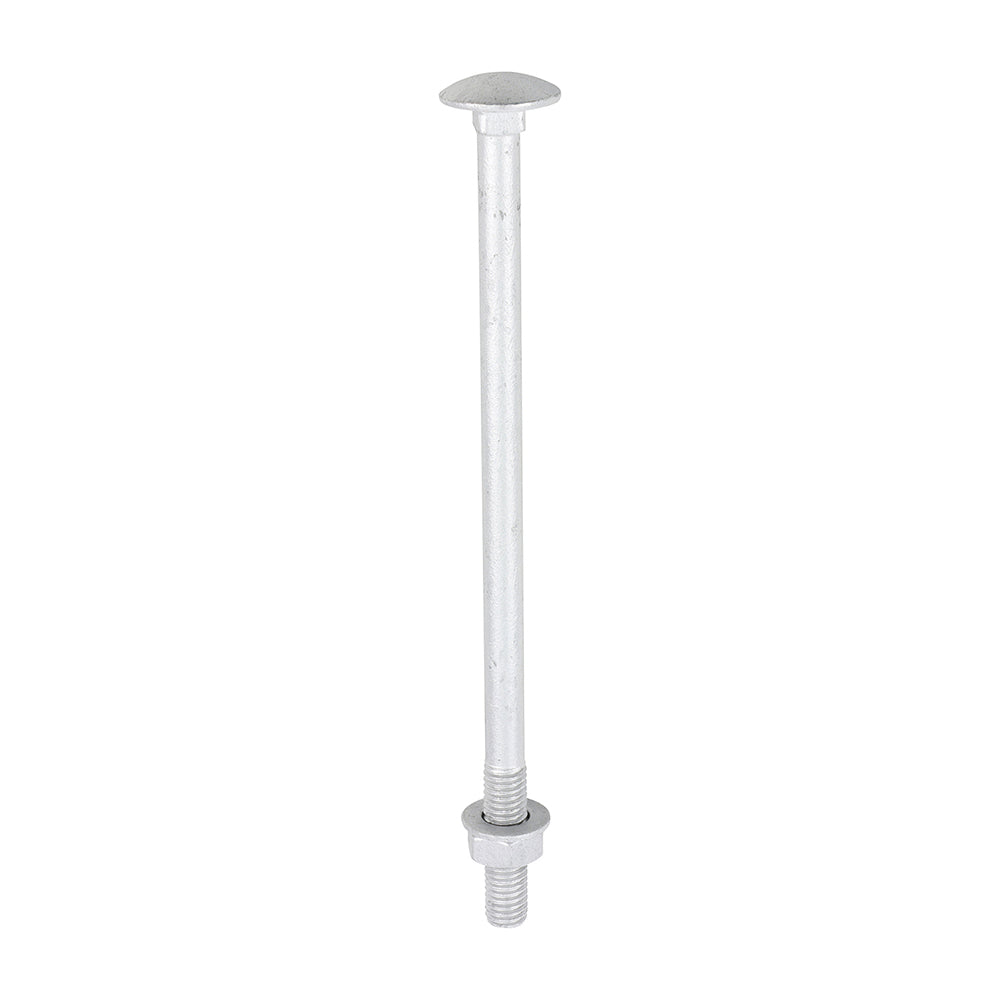 Carriage Bolts Hex Nuts & Form A Washers - Dome - Exterior - Silver - M8 x 150 - TIMbag of 10