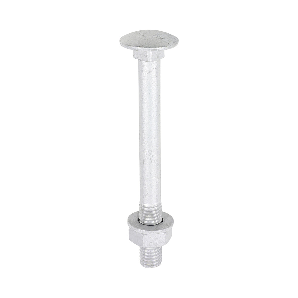 Carriage Bolts Hex Nuts & Form A Washers - Dome - Exterior - Silver - M10 x 100 - TIMbag of 10