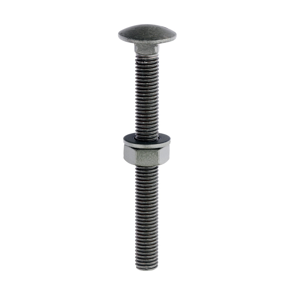 Carriage Bolts Hex Nuts & Form A Washers - Dome - Exterior - Green - M10 x 100 - Bag of 10