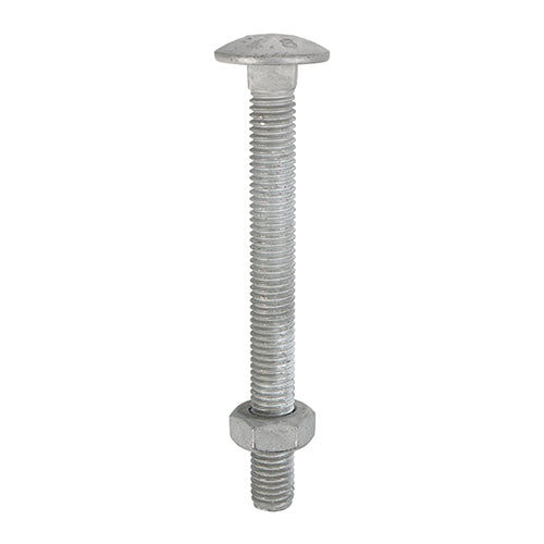 Carriage Bolts & Hex Nuts - Hot Dipped Galvanised - M10 x 110 - Box of 25