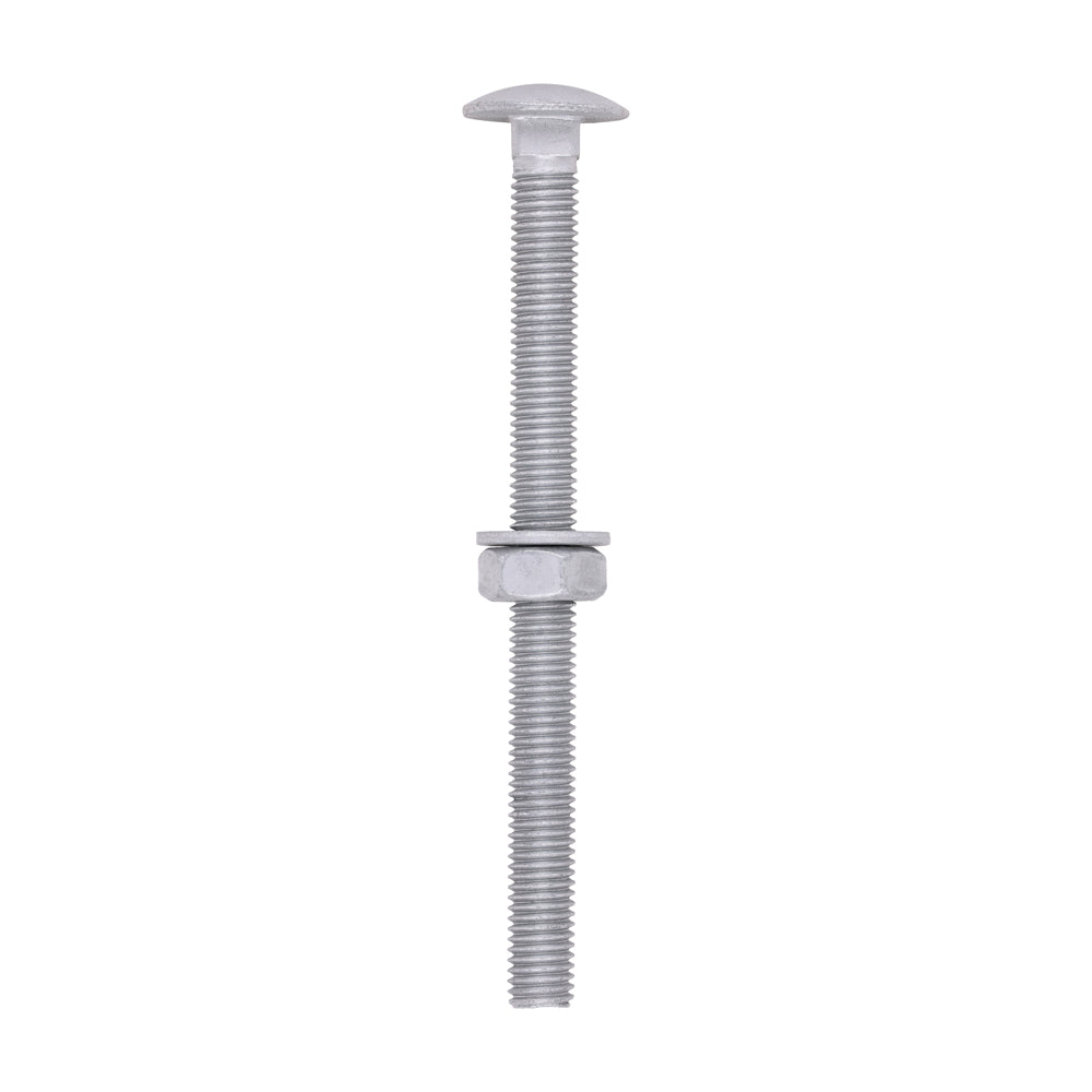 Carriage Bolts Hex Nuts & Form A Washers - Dome - Exterior - Silver - M10 x 130 - TIMbag of 10