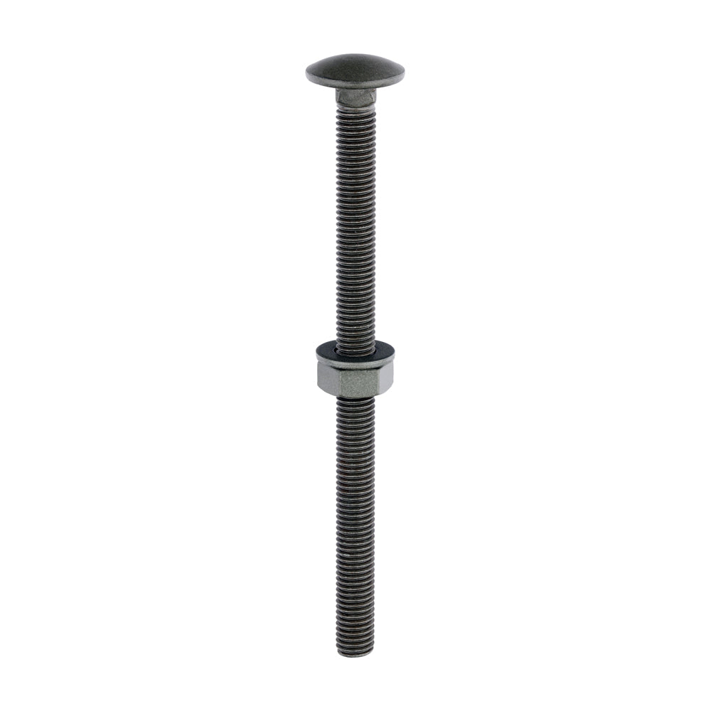 Carriage Bolts Hex Nuts & Form A Washers - Dome - Exterior - Green - M10 x 150 - Bag of 10