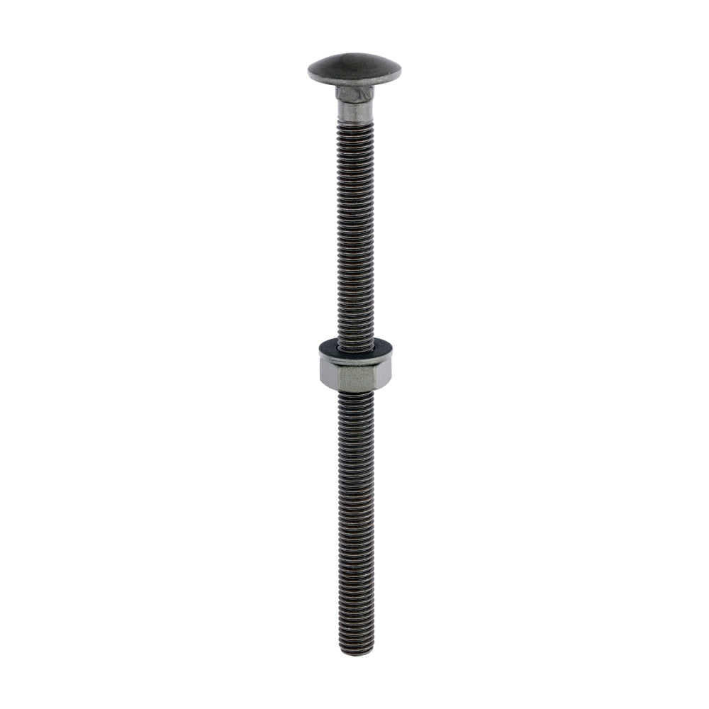 Carriage Bolts Hex Nuts & Form A Washers - Dome - Exterior - Green - M10 x 160 - Bag of 10