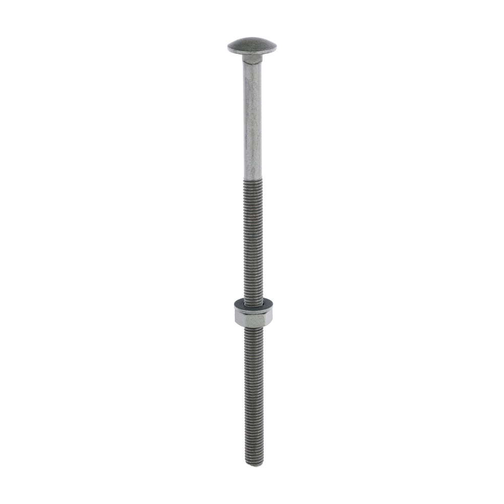 Carriage Bolts Hex Nuts & Form A Washers - Dome - Exterior - Green - M10 x 220 - Bag of 10
