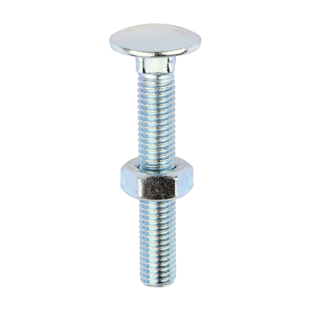 Carriage Bolts & Hex Nuts - Zinc - M10 x 65 - Box of 50