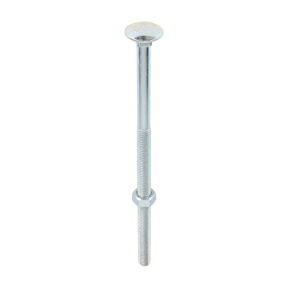 Carriage Bolts & Hex Nuts - Zinc - M12 x 240 - Box of 10