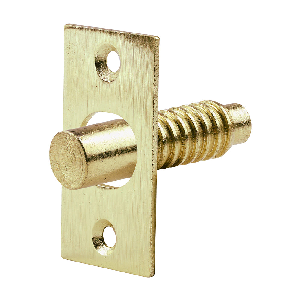 Hinge Bolt - Electro Brass - 48mm - Bag of 2