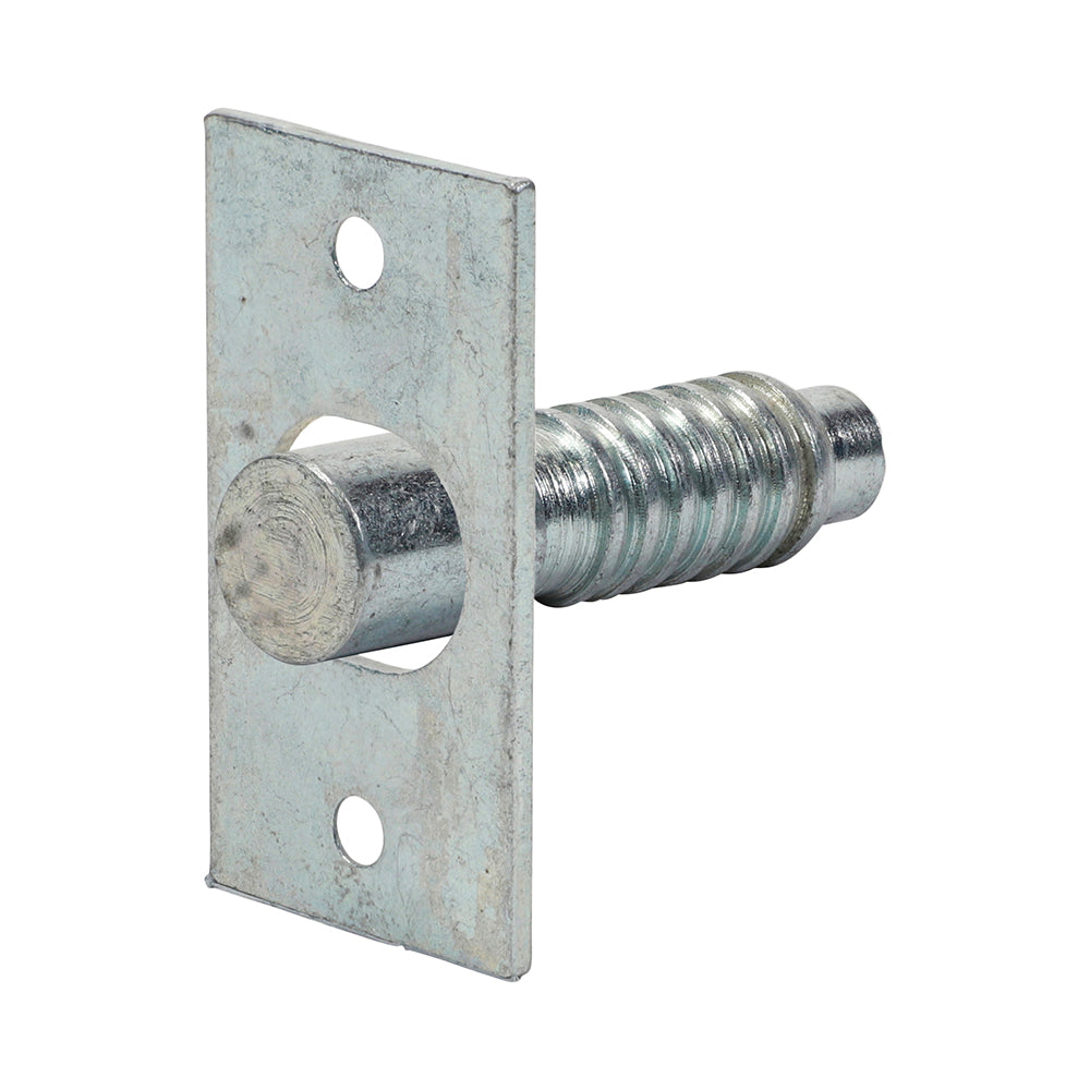 Hinge Bolts - Zinc - 48mm - TIMpac of 2
