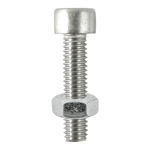 Socket Screws & Hex Nuts - Cap - Stainless Steel - M6 x 16 - TIMpac of 8