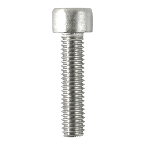 Socket Screws - Cap - A2 Stainless Steel - M6 x 20 - Bag of 10