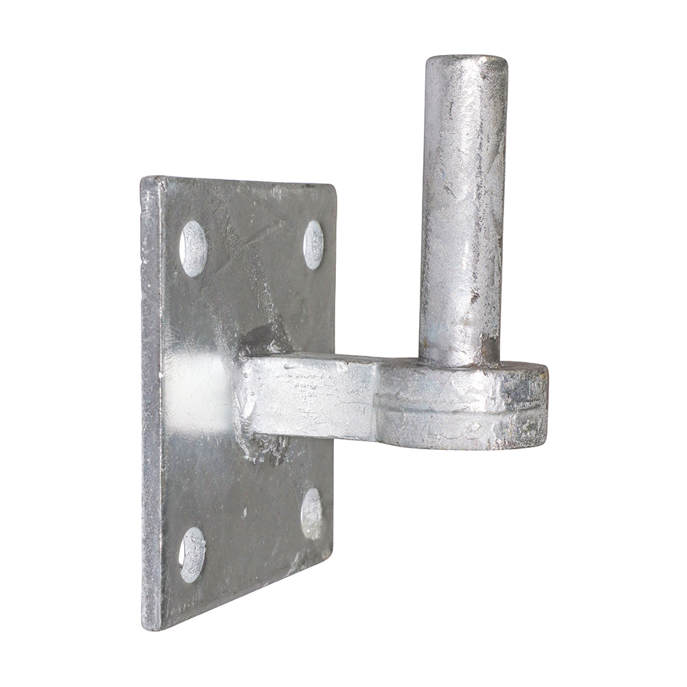 Hook on Square Plate - Hot Dipped Galvanised - 19mm - Unit of 1