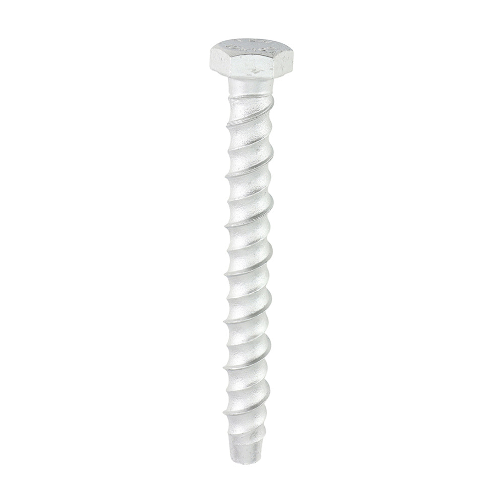 Multi-Fix Masonry Bolts - Hex - Exterior - Silver - 10.0 x 100 - Box of 50