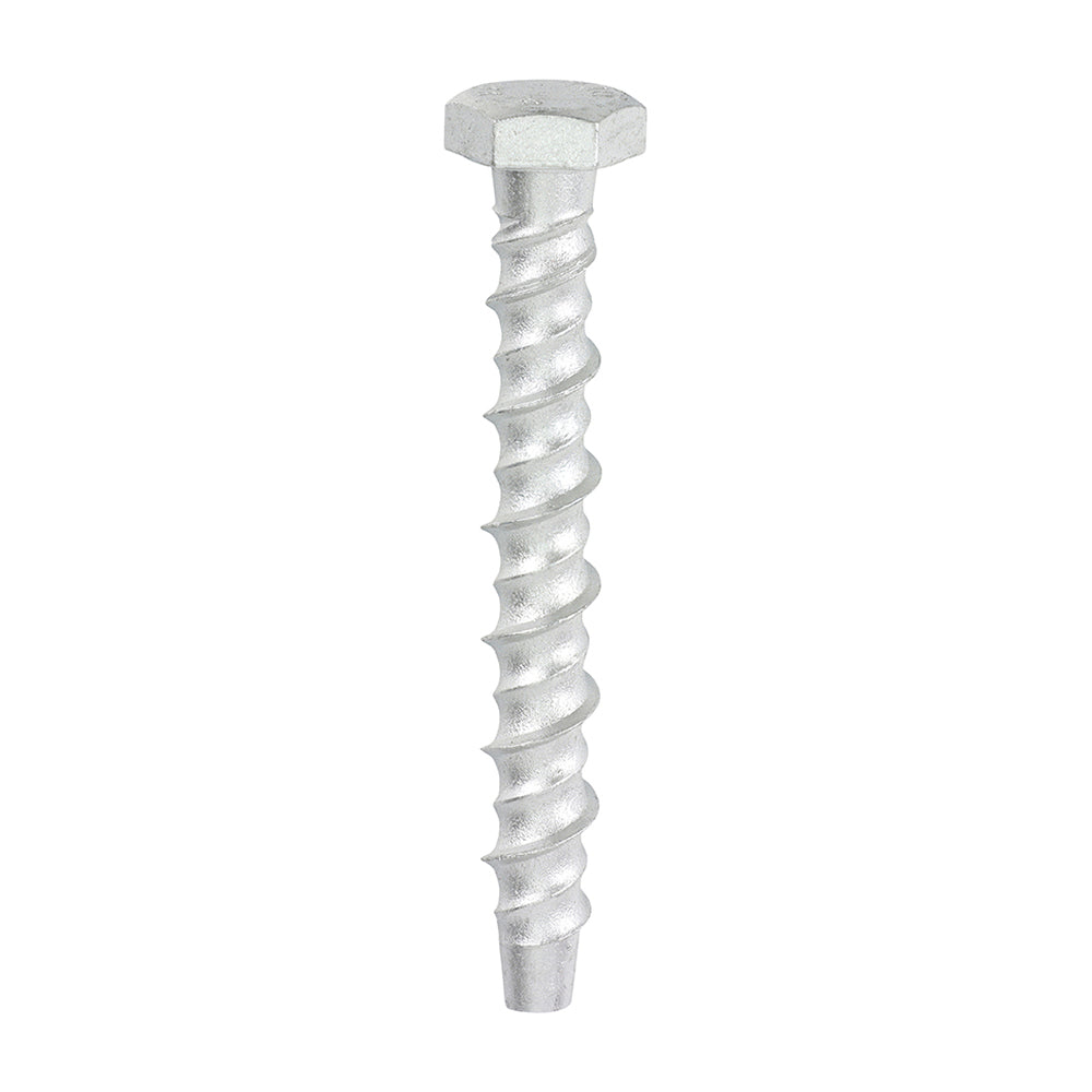 Multi-Fix Masonry Bolts - Hex - Exterior - Silver - 8.0 x 75 - Box of 100