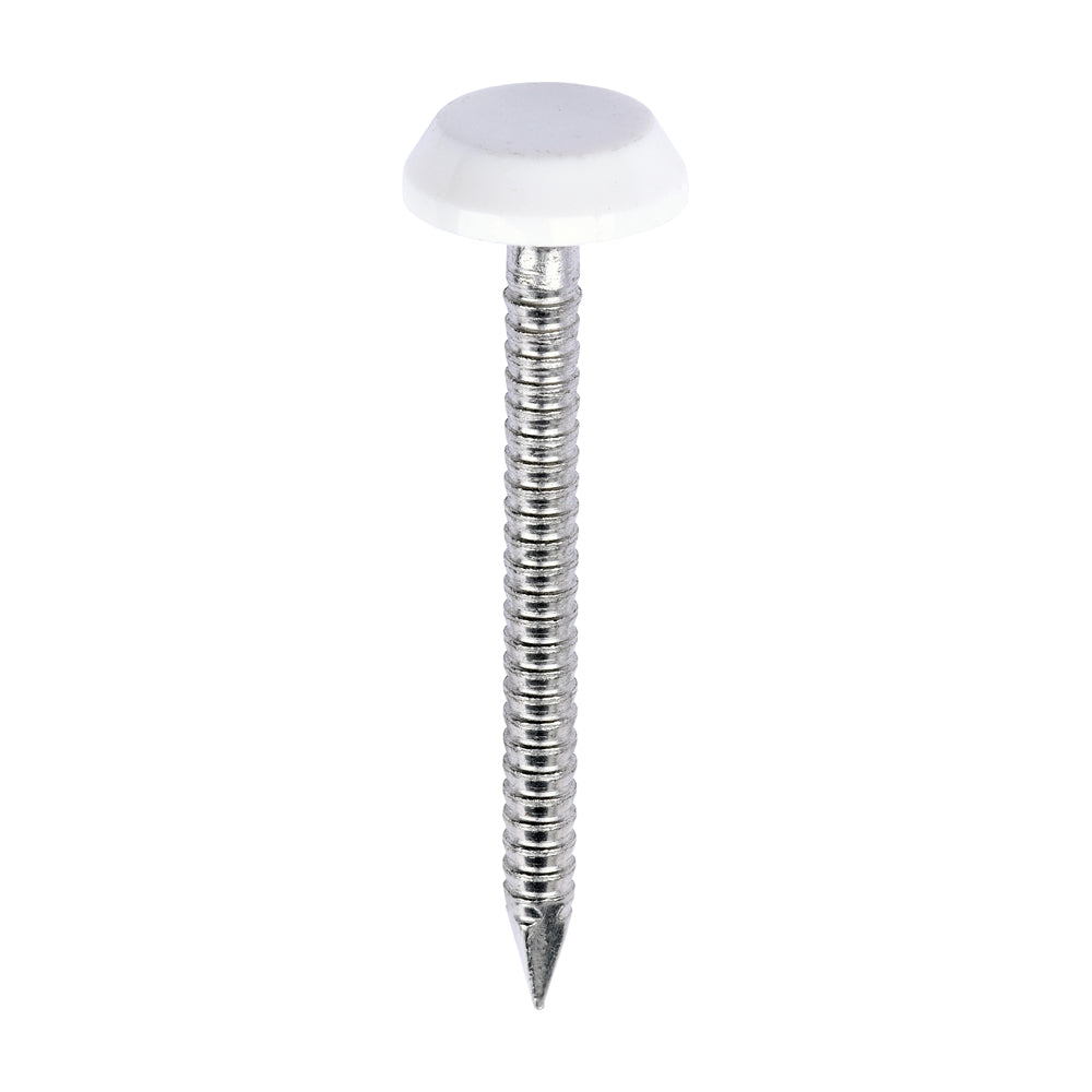 Polymer Headed Nails - A4 Stainless Steel - White - 40mm - Box of 100