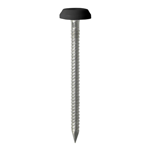 Polymer Headed Pins - Stainless Steel - Black - 50mm - TIMpac of 25