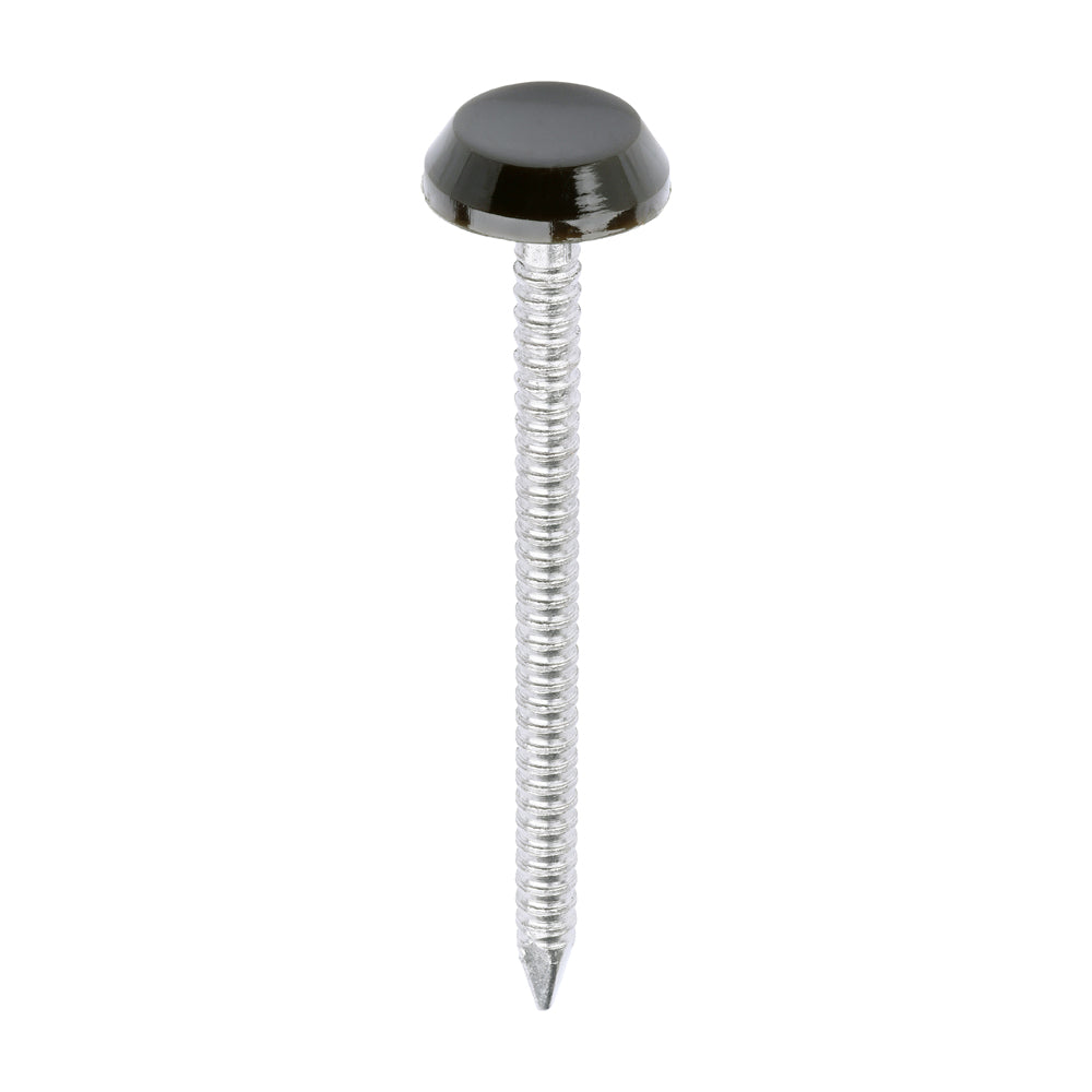 Polymer Headed Nails - A4 Stainless Steel - Mahogany - 50mm - Box of 100