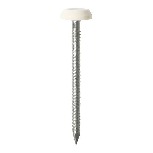 Polymer Headed Pins - Stainless Steel - White - 50mm - TIMpac of 25