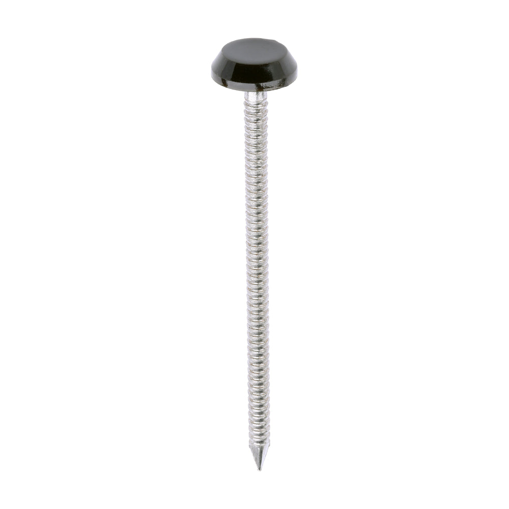 Polymer Headed Nails - A4 Stainless Steel - Mahogany - 65mm - Box of 100