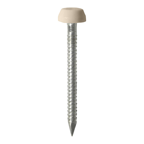 Polymer Headed Pins - A4 Stainless Steel - Beige - 25mm - Box of 250