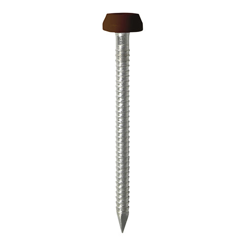 Polymer Headed Pins - A4 Stainless Steel - Mahogany - 25mm - Box of 250