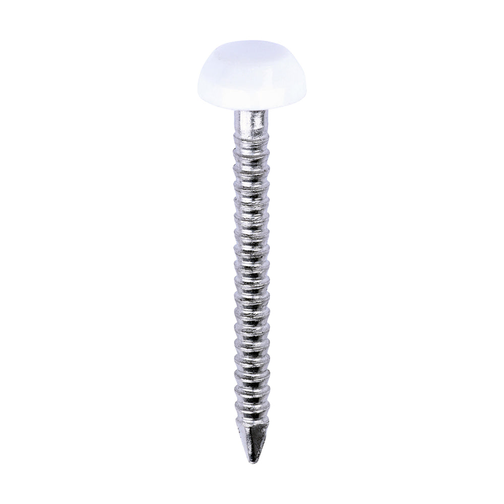 Polymer Headed Pins - A4 Stainless Steel - White - 25mm - Box of 250