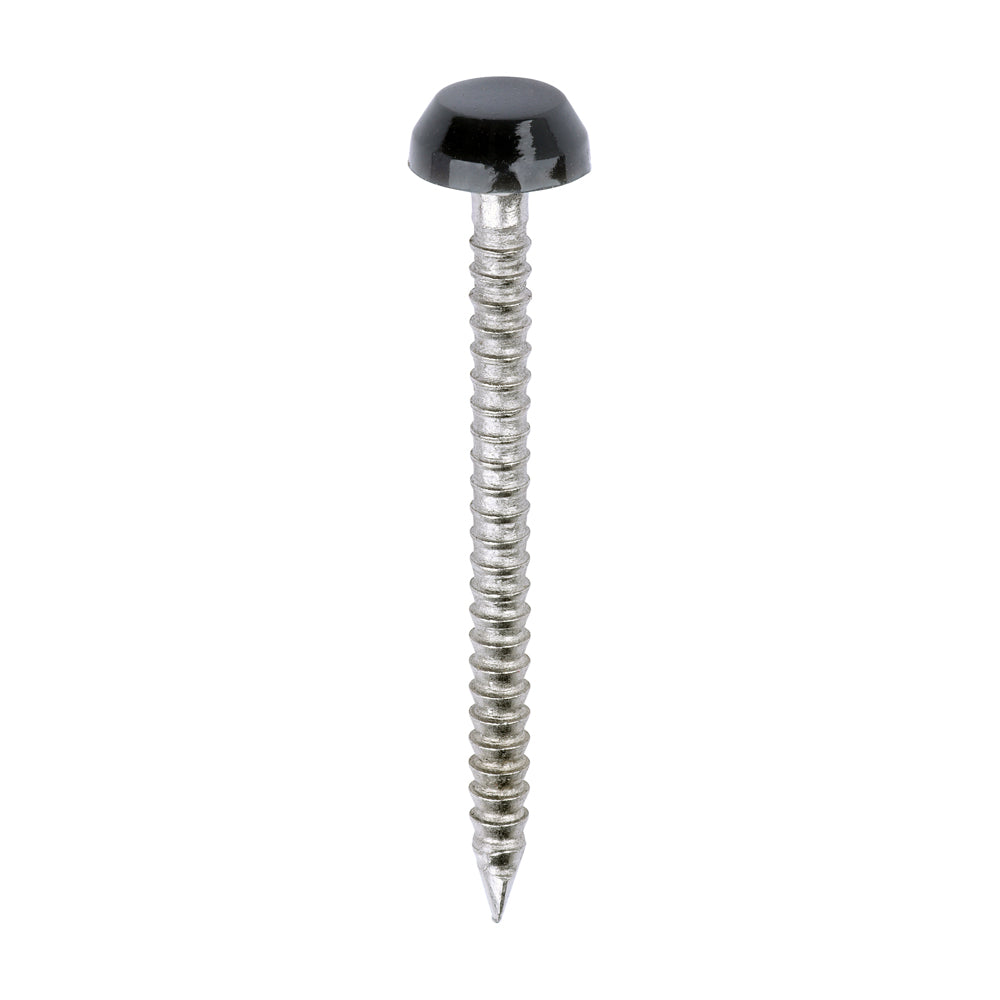 Polymer Headed Pins - A4 Stainless Steel - Anthracite Grey - 30mm - Box of 250