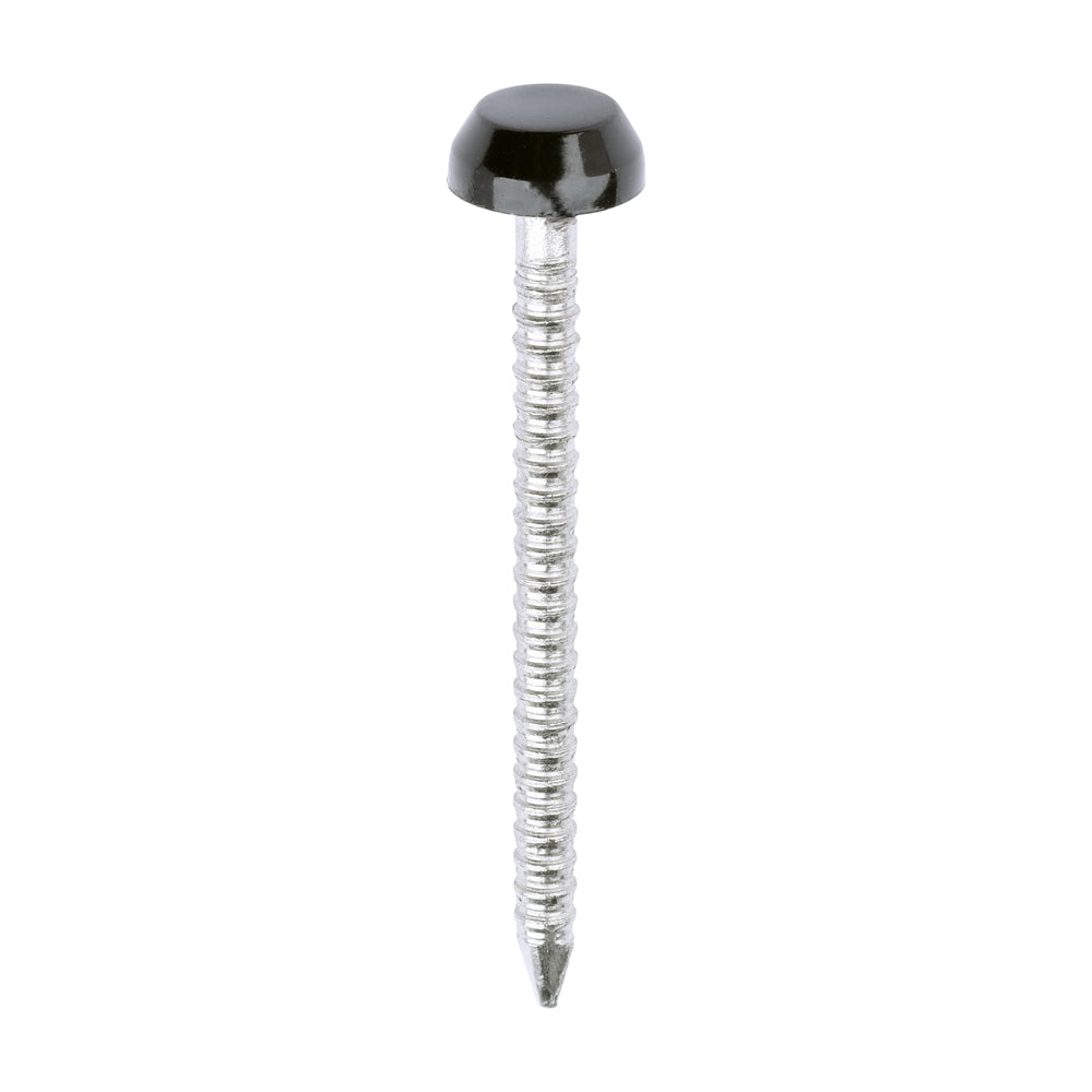 Polymer Headed Pins - A4 Stainless Steel - Black - 30mm - Box of 250