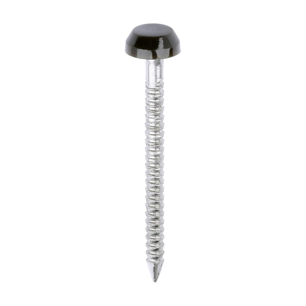 Polymer Headed Pins - A4 Stainless Steel - Mahogany - 30mm - Box of 250