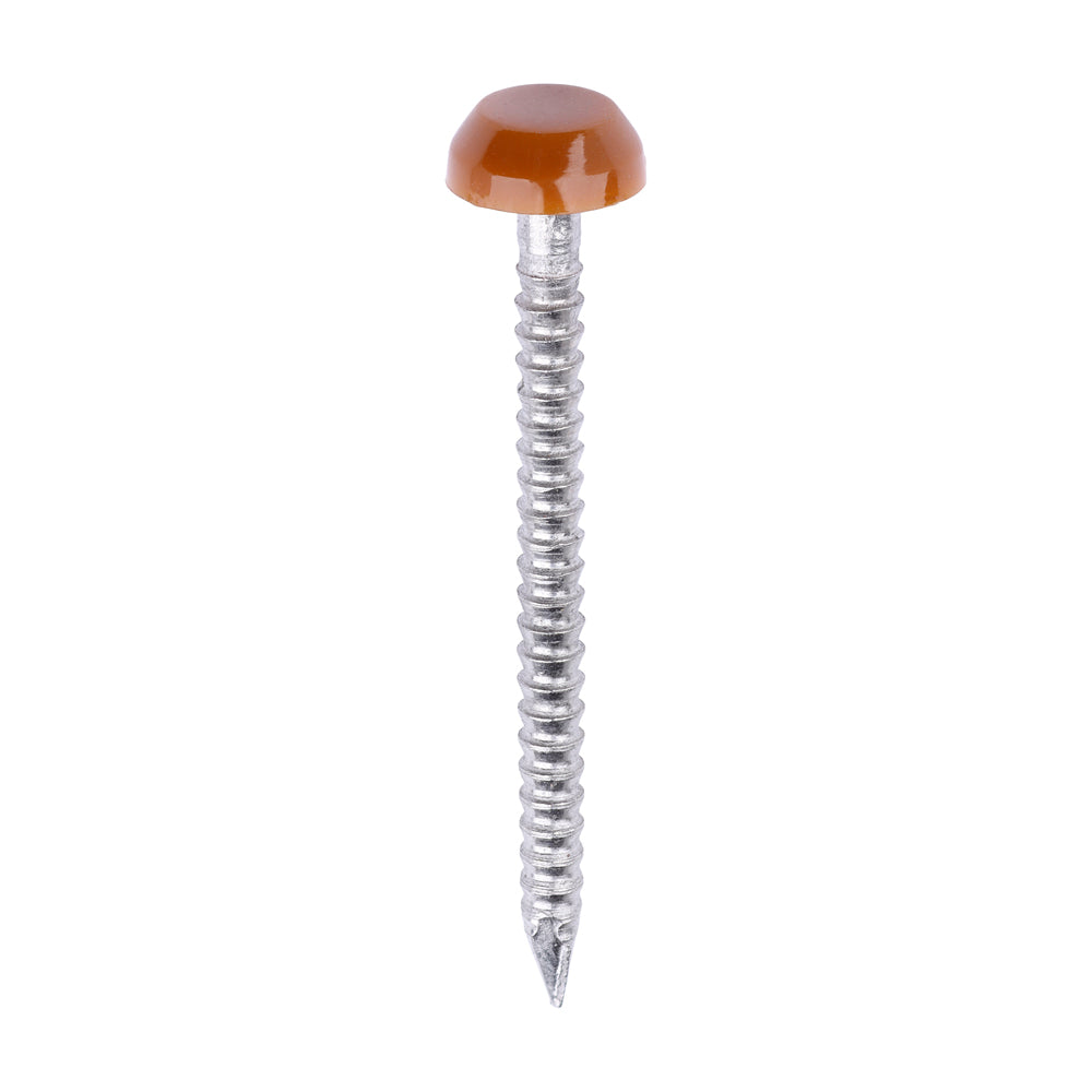 Polymer Headed Pins - A4 Stainless Steel - Clay Brown - 30mm - Box of 250