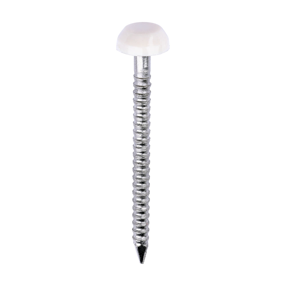 Polymer Headed Pins - A4 Stainless Steel - Cream - 30mm - Box of 250