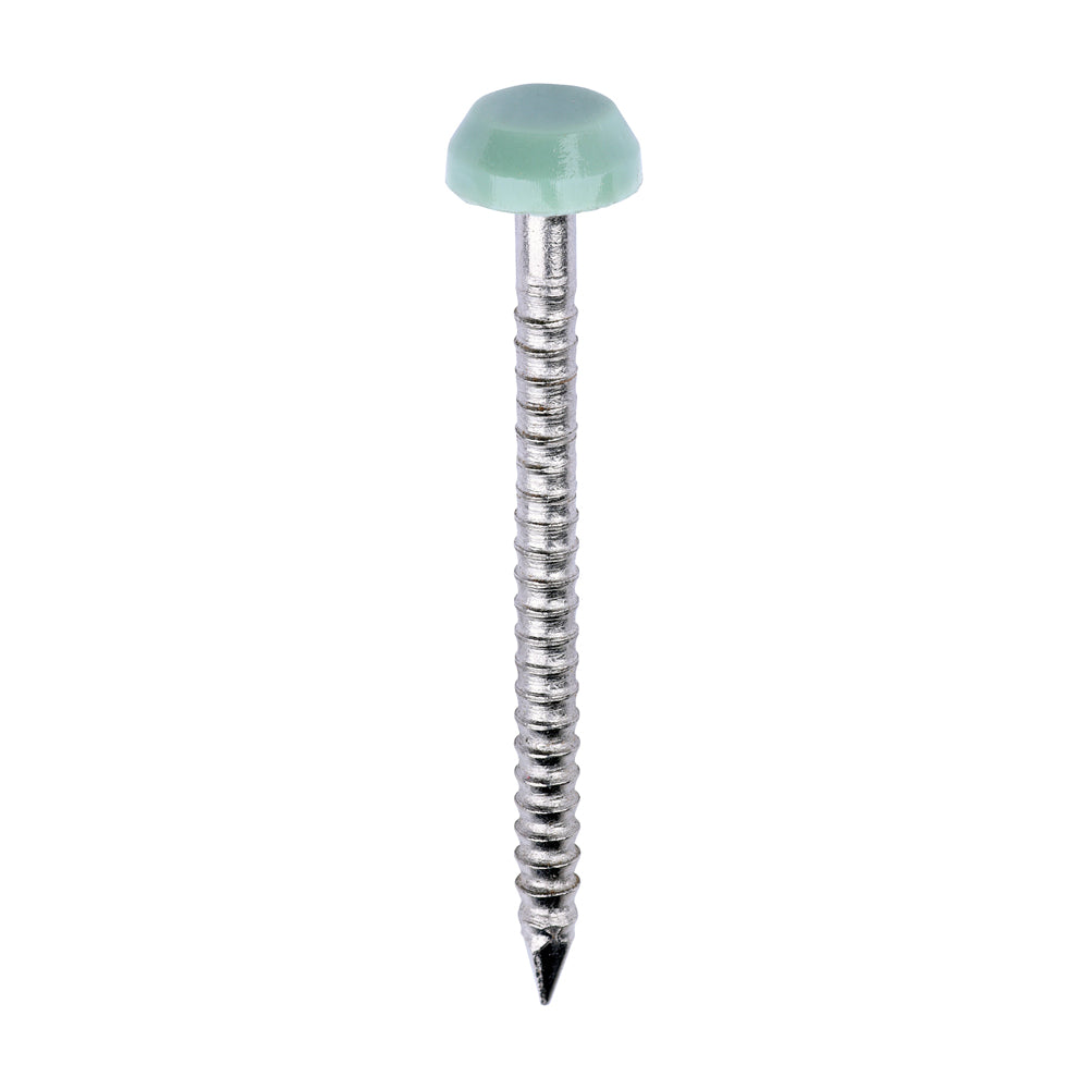Polymer Headed Pins - A4 Stainless Steel - Chartwell Green - 30mm - Box of 250