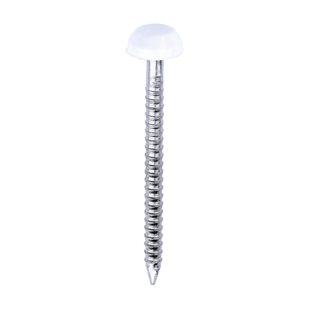 Polymer Headed Pins - A4 Stainless Steel - White - 30mm - Box of 250