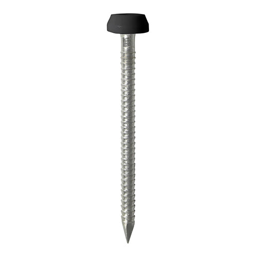 Polymer Headed Pins - Stainless Steel - Black - 40mm - TIMpac of 50