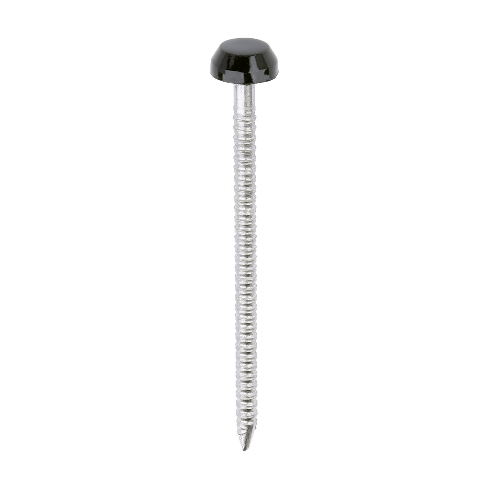 Polymer Headed Pins - A4 Stainless Steel - Black - 40mm - Box of 250