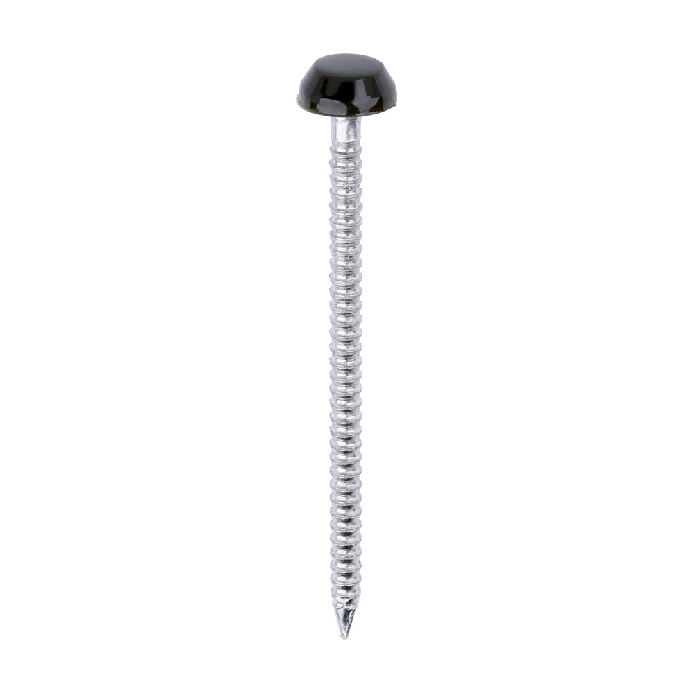 Polymer Headed Pins - A4 Stainless Steel - Mahogany - 40mm - Box of 250