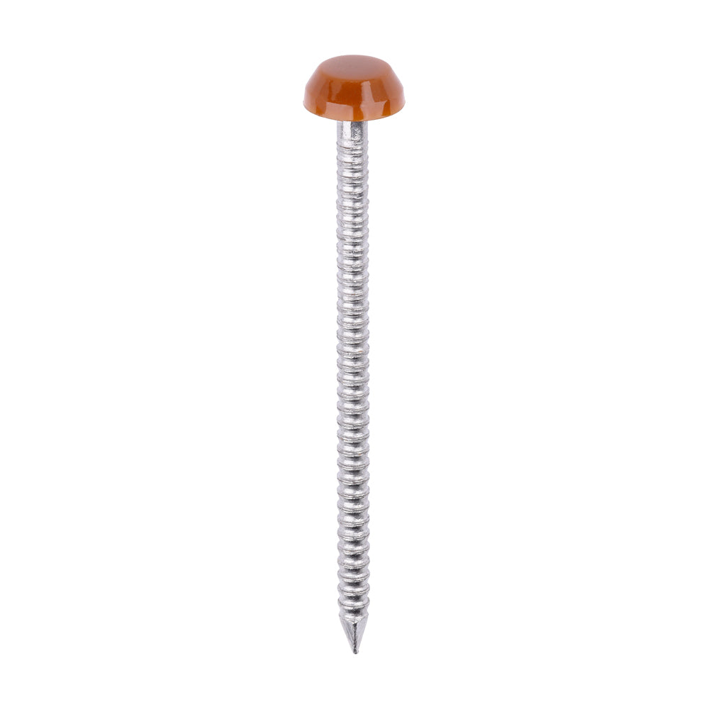 Polymer Headed Pins - A4 Stainless Steel - Clay Brown - 40mm - Box of 250