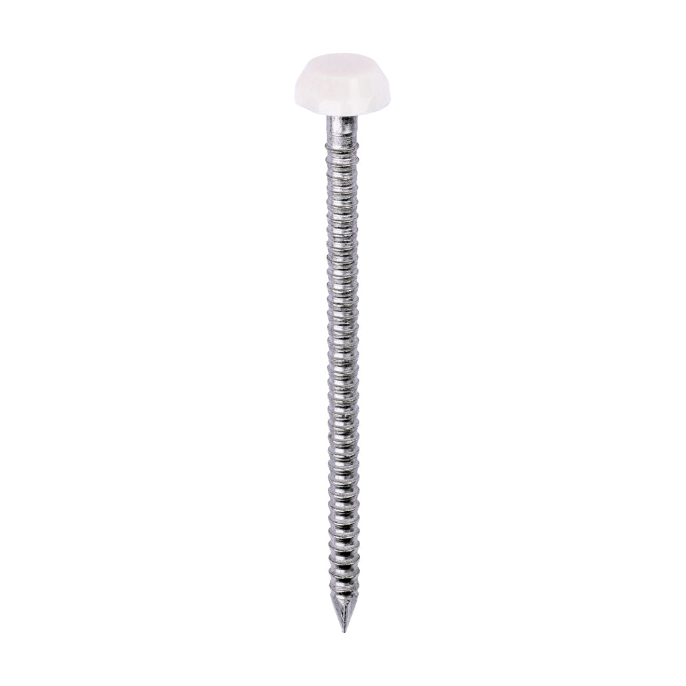 Polymer Headed Pins - A4 Stainless Steel - Cream - 40mm - Box of 250