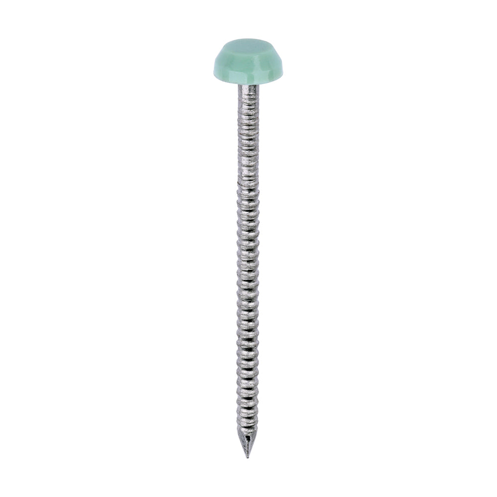 Polymer Headed Pins - A4 Stainless Steel - Chartwell Green - 40mm - Box of 250