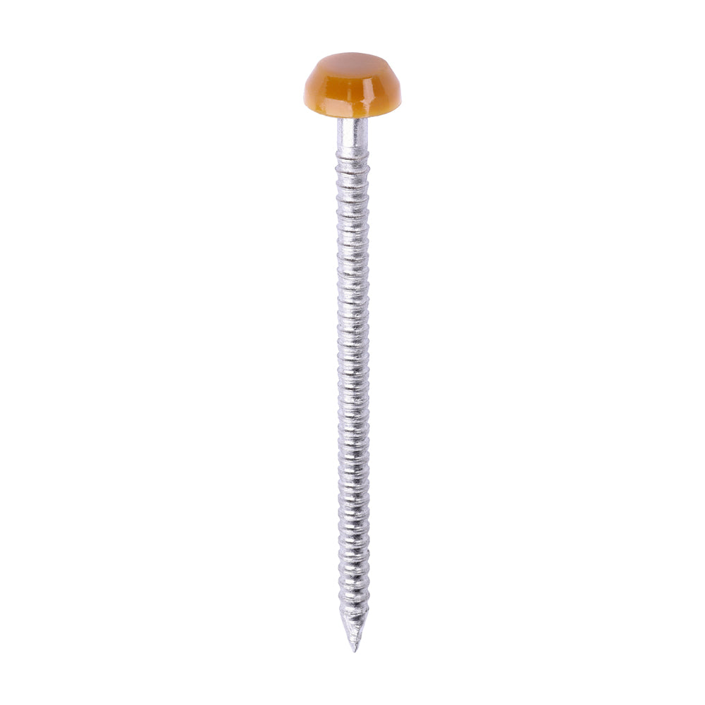 Polymer Headed Pins - A4 Stainless Steel - Oak - 40mm - Box of 250