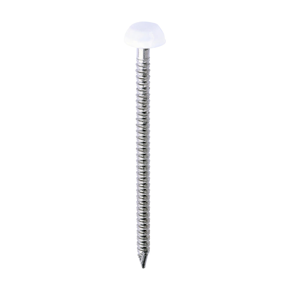 Polymer Headed Pins - A4 Stainless Steel - White - 40mm - Box of 250