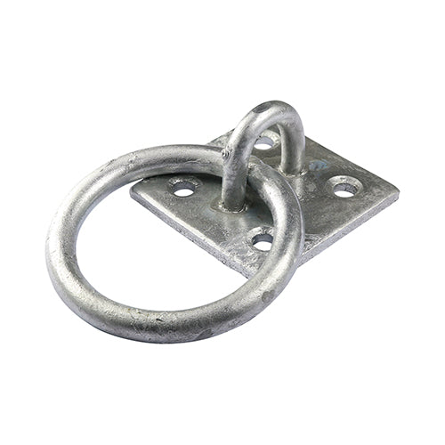 Ring on Plate - Hot Dipped Galvanised - 2" - TIMbag of 1