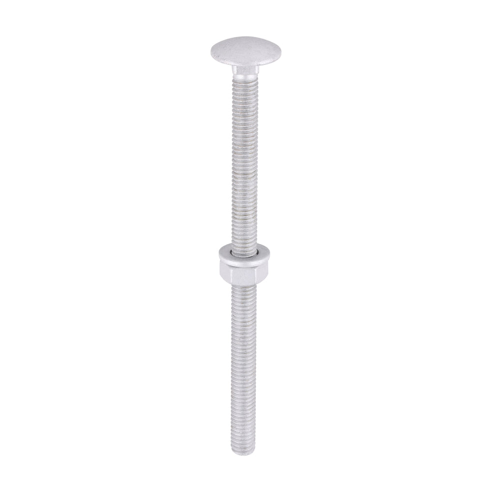 Carriage Bolts Hex Nuts & Form A Washers - Dome - Exterior - Silver - M6 x 100 - TIMbag of 10