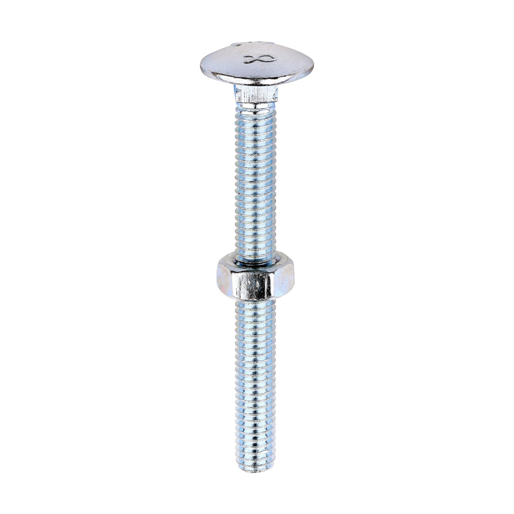 Carriage Bolts & Hex Nuts - Zinc - M6 x 60 - Box of 100