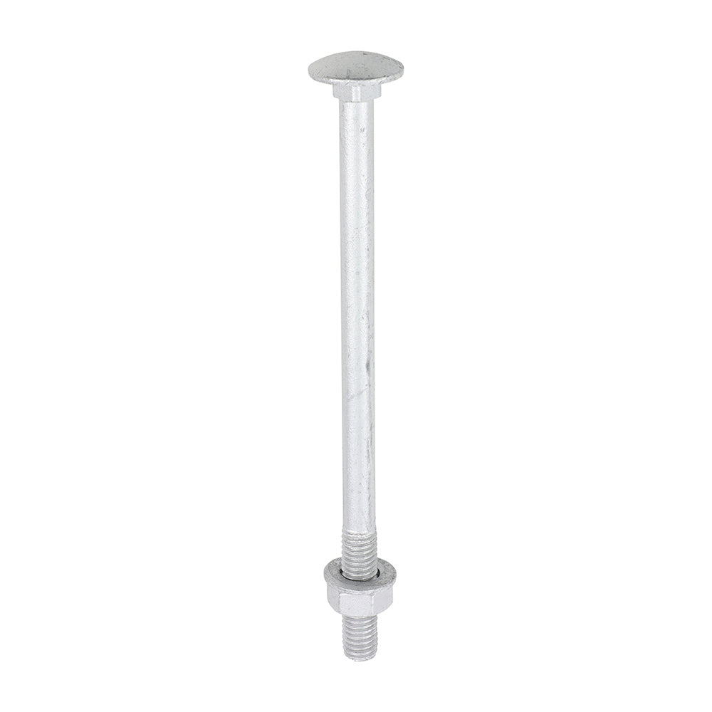 Carriage Bolts Hex Nuts & Form A Washers - Dome - Exterior - Silver - M8 x 130 - TIMbag of 10