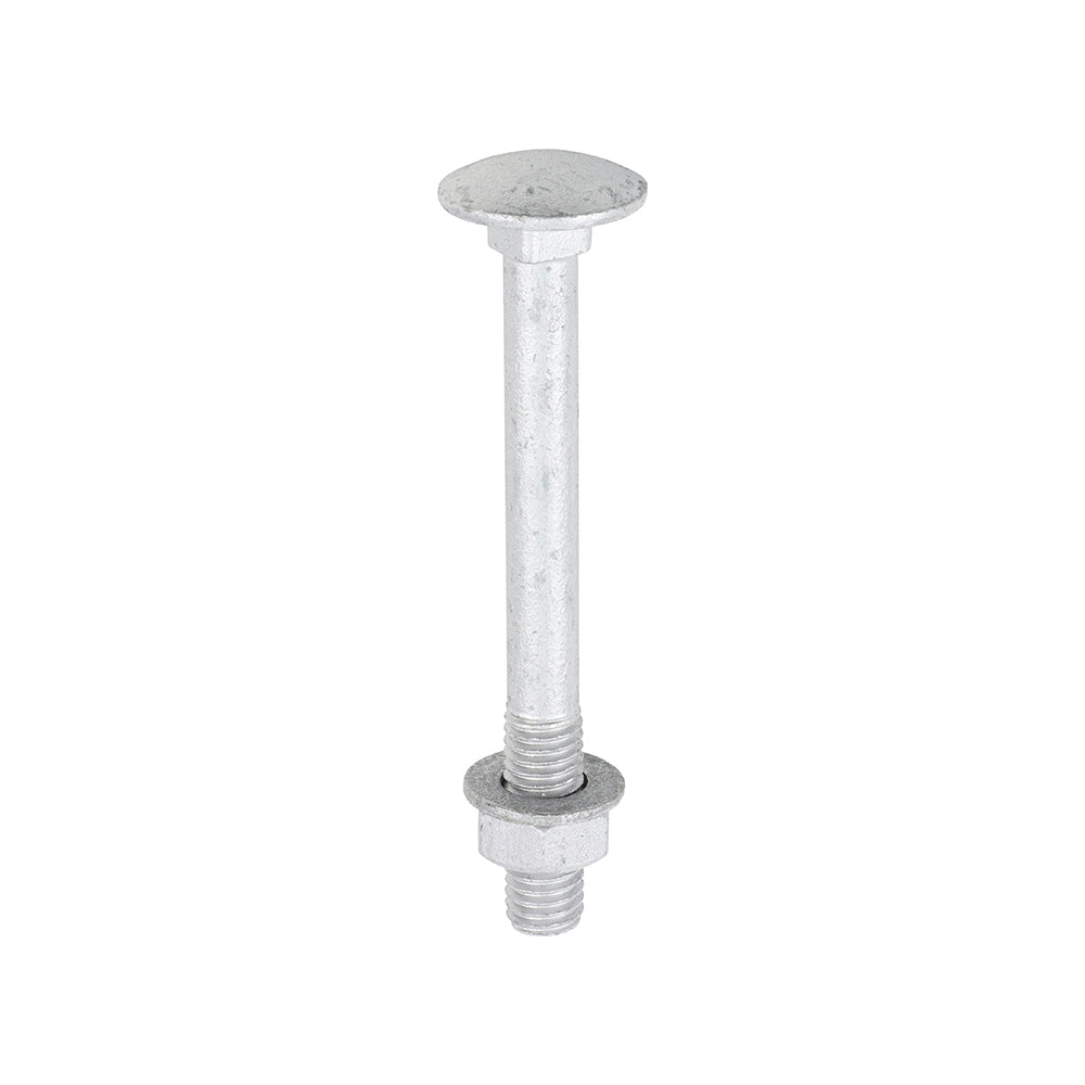 Carriage Bolts Hex Nuts & Form A Washers - Dome - Exterior - Silver - M8 x 75 - TIMbag of 10
